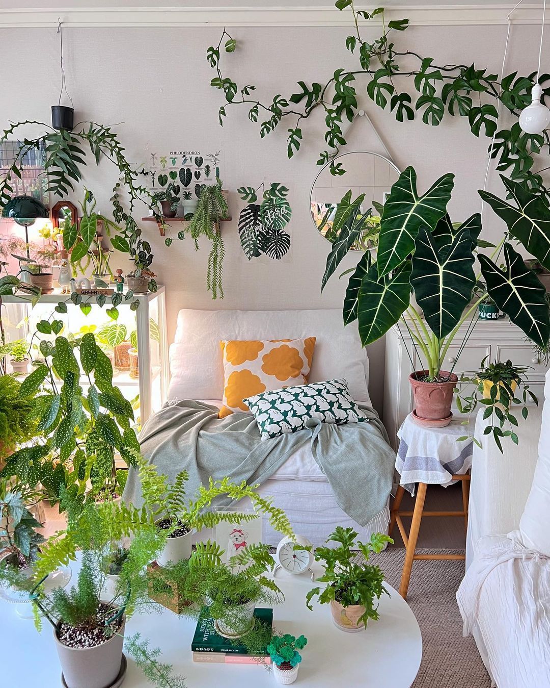 Indoor Plants: Greening Up Your Home Decor